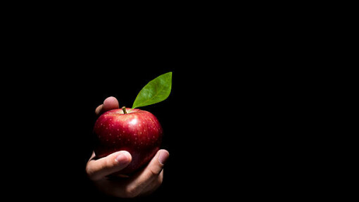 The Pitfall Of Temptation